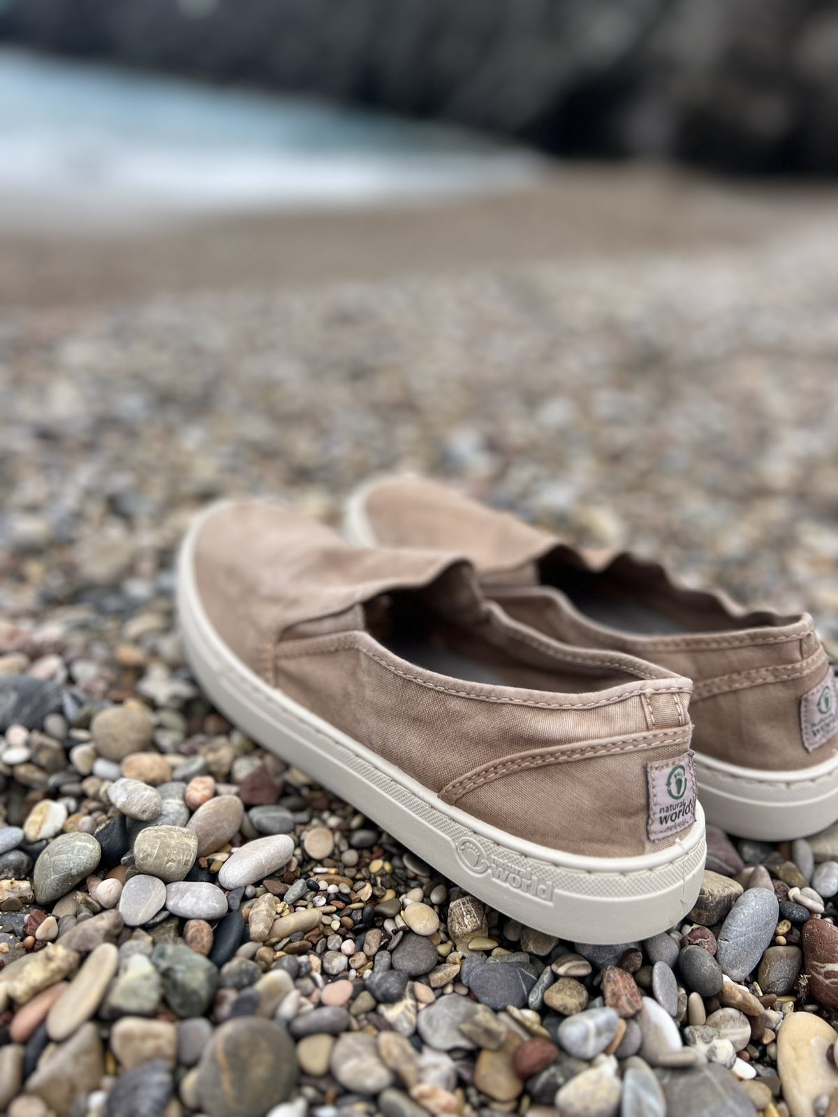 Old Gazelle
