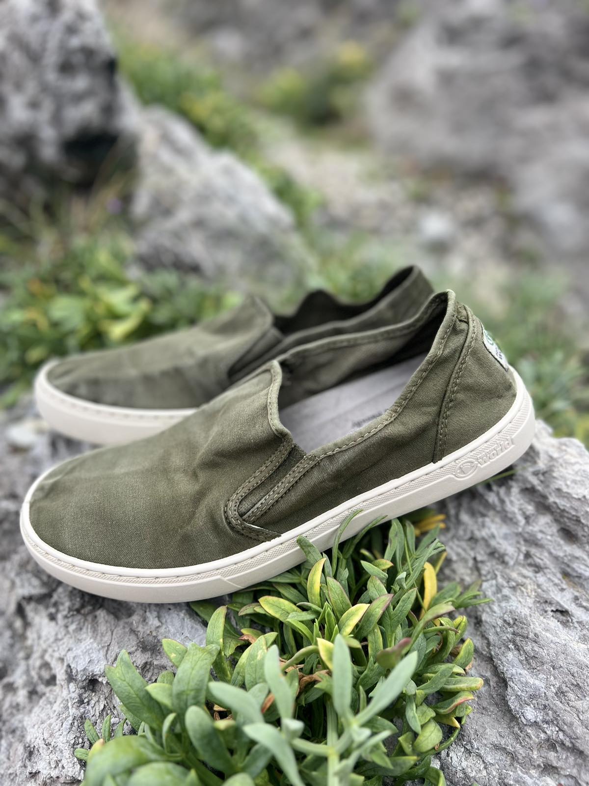 Old Gazelle
